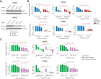 Figure 4. SYK inhibition or depletion reduces the growth of NF1LoF melanoma cells and increases their sensitivity to both PI3K and MEK inhibitors. A, SYK protein levels assessed by WBs in MeWo (top) and YUHEF cells (bottom) following treatment with siRNAs targeting SYK isoforms or with nontargeting (control) siRNA for 72 hours. Antibodies were costained on the same blot. Each siRNA experiment was performed in two independent replicates. B, Normalized growth rates measured in MeWo (top) and YUHEF cells (bottom) following 72 hours treatment with indicated concentrations of MTX-211, trametinib, or pictilisib (all dissolved in DMSO as vehicle) in the presence of siRNAs targeting SYK or nontargeting (control) siRNA (for 72 hours). Data are presented as mean values ± SD calculated across n = 3 replicates. Statistical significance of the effect of SYK siRNA (vs. control siRNA) in the absence of all inhibitors was determined by two-sided, two-sample t test. Statistical significance of the effect of SYK siRNA (vs. control siRNA) in the presence of inhibitors at three indicated concentrations was determined by two-way ANOVA. C, Normalized growth rates measured in MeWo (top) and YUHEF cells (bottom) following 7-day treatments with indicated concentrations of MTX-211, trametinib, or pictilisib in combination with either R406 (at 3.16 μmol/L) or vehicle (DMSO). Data are presented as mean values ± SD calculated across n = 2 replicates. Statistical significance of the effect of R406 (vs. DMSO) in the absence of other inhibitors was determined by two-sided, two-sample t test. Statistical significance of the effect of R406 (vs. DMSO) in the presence of other inhibitors at four indicated concentrations was determined by two-way ANOVA.