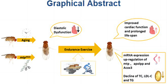 graphic file with name PHY2-12-e15929-g006.jpg