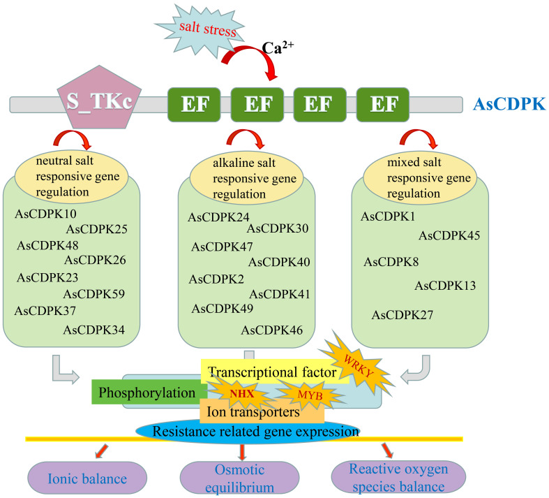 Figure 13