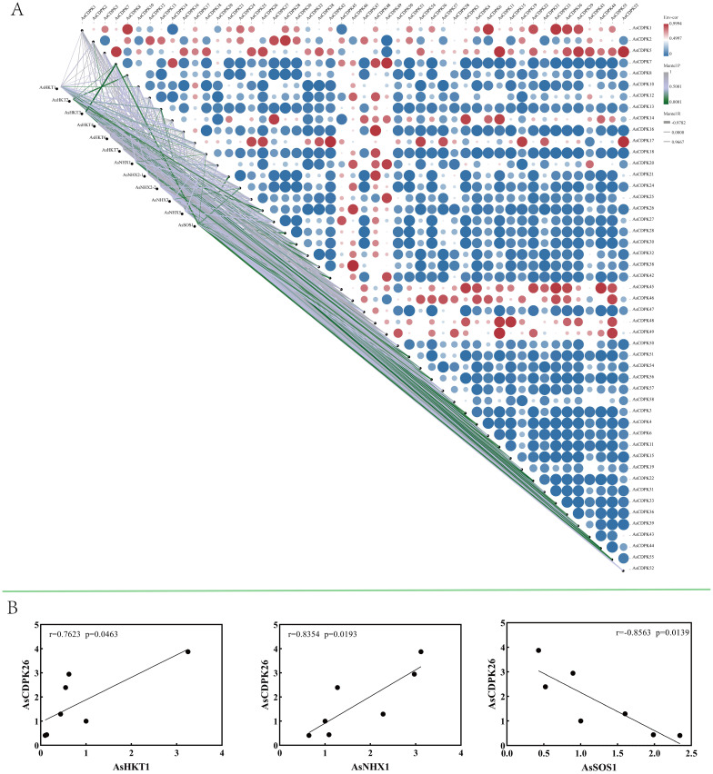 Figure 10