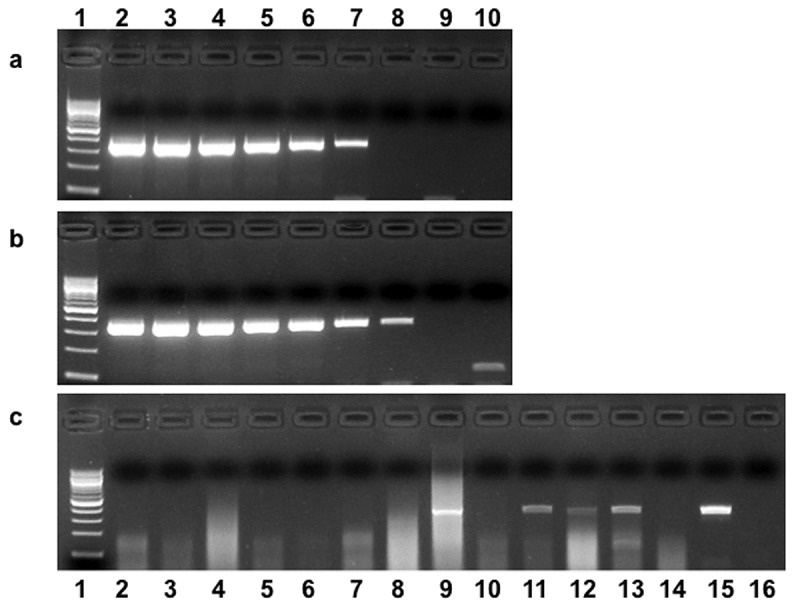 Figure 9