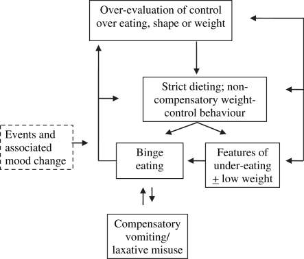 Fig. 1