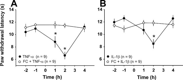 Figure 11.