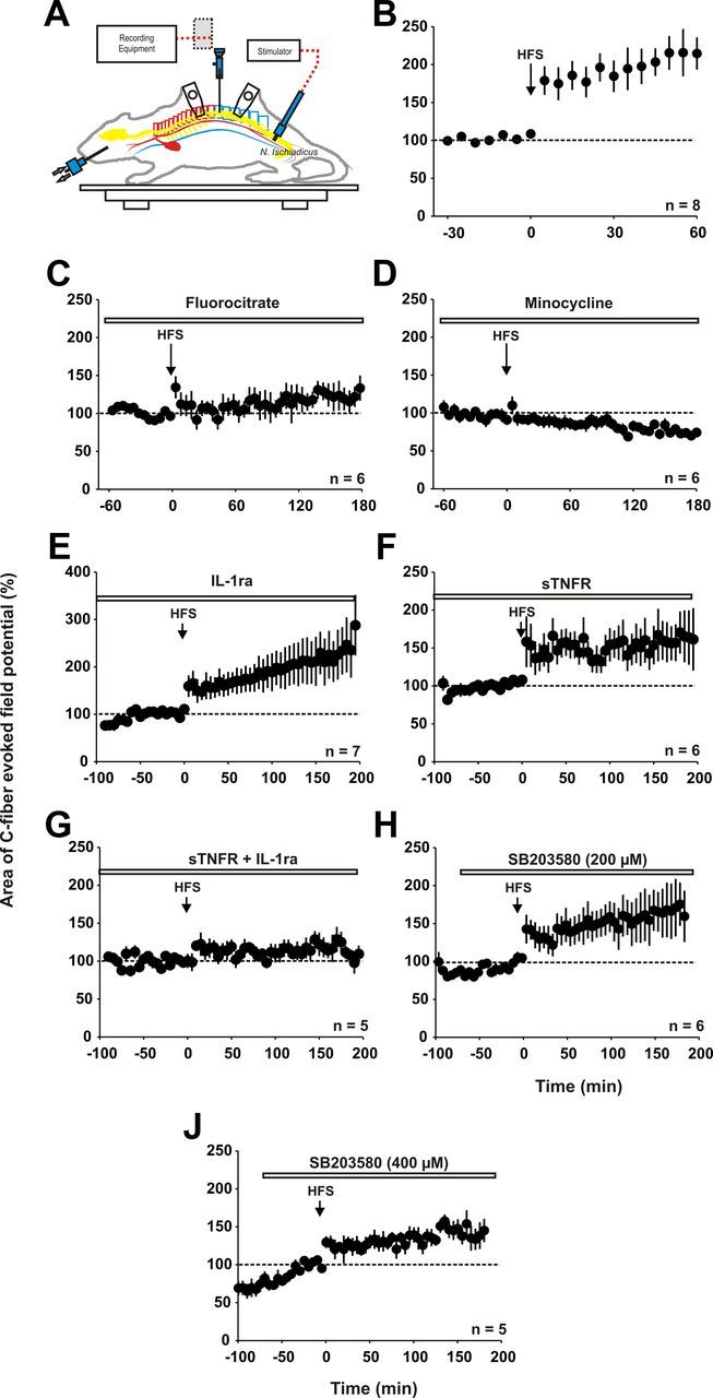 Figure 10.