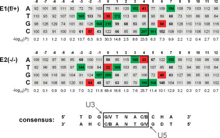 Figure 6.