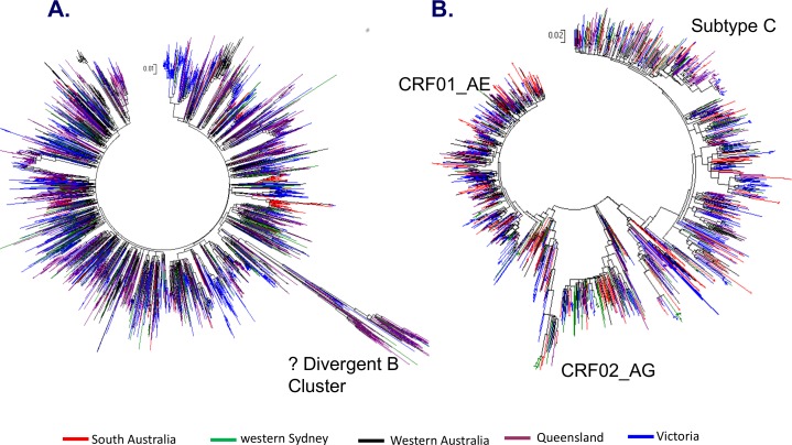 Fig 3