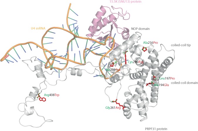 FIGURE 3