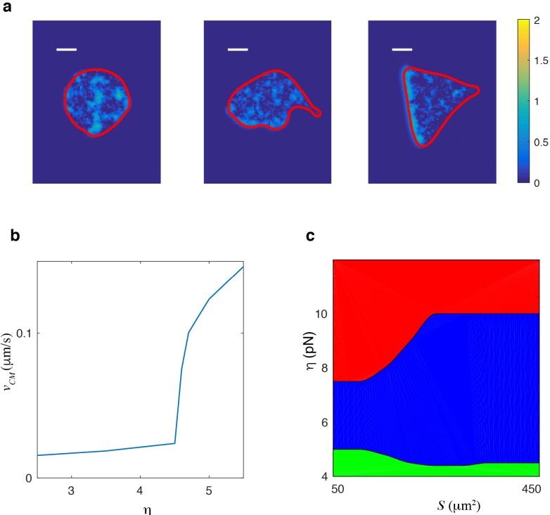 Figure 2—figure supplement 6.