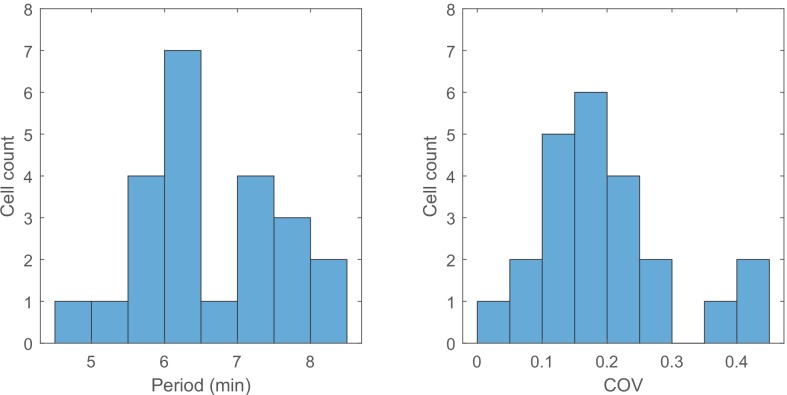 Figure 3—figure supplement 2.