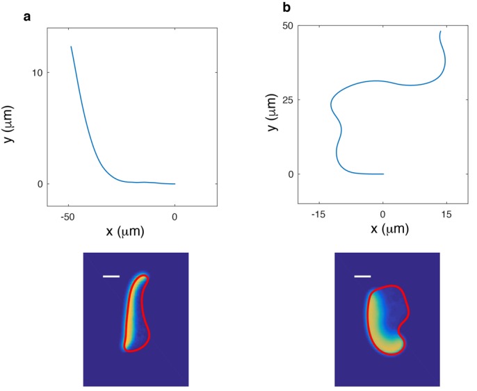 Figure 2—figure supplement 3.