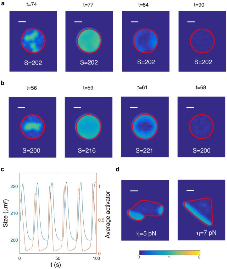 Figure 2—figure supplement 5.