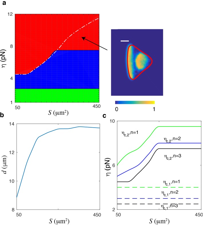 Figure 2—figure supplement 4.