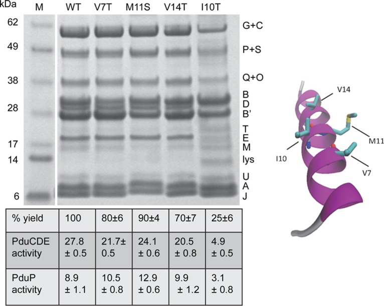 FIG 6