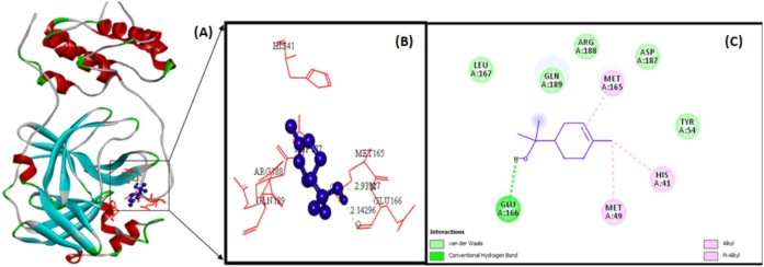 Fig. 4