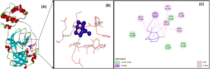 Fig. 3