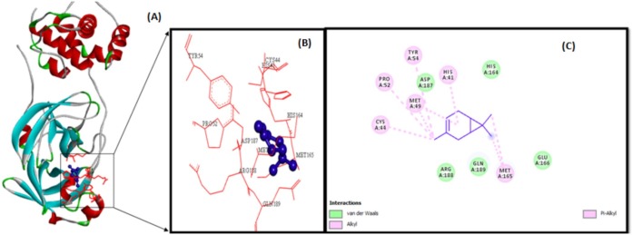 Fig. 8