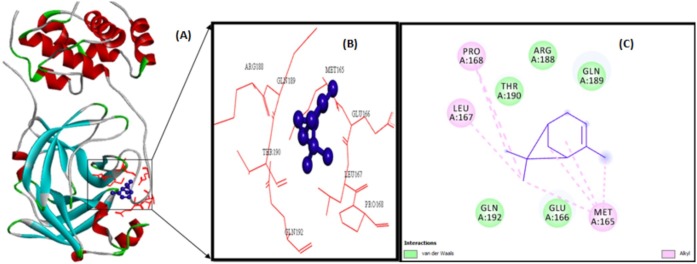 Fig. 7