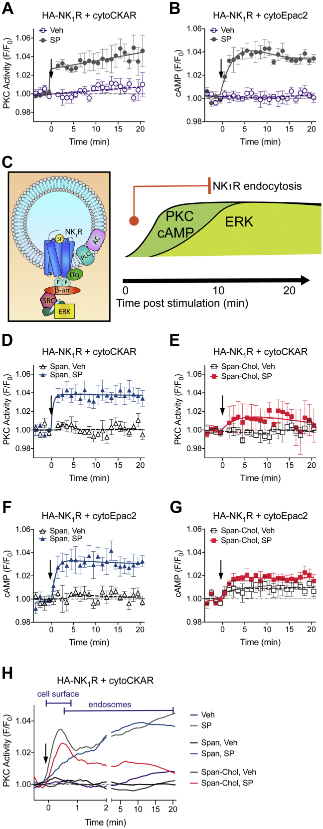 Figure 6