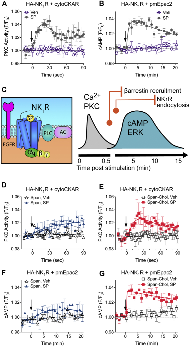 Figure 5