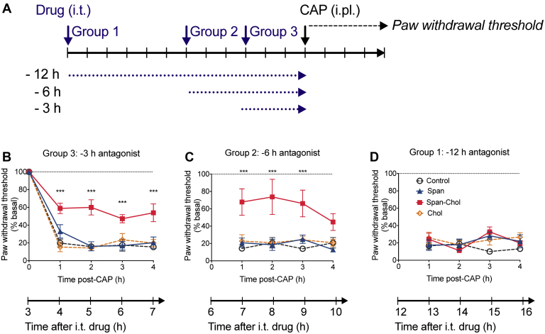 Figure 7