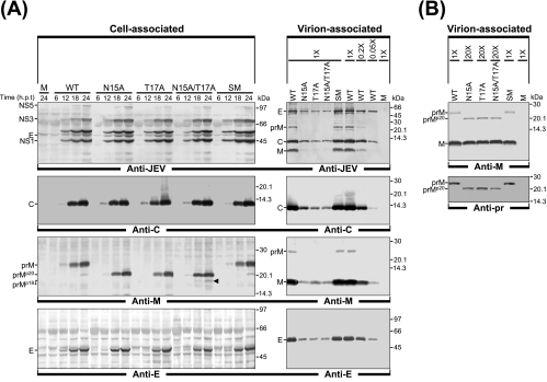 FIG. 4.