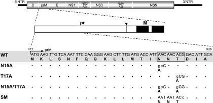 FIG. 1.