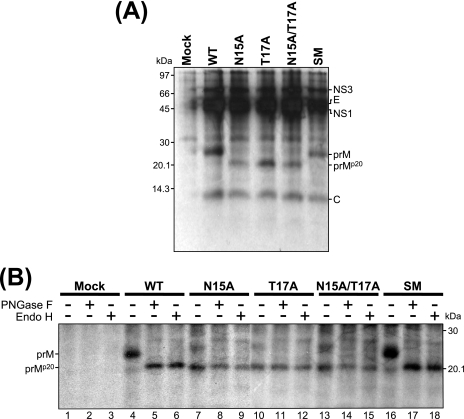 FIG. 3.