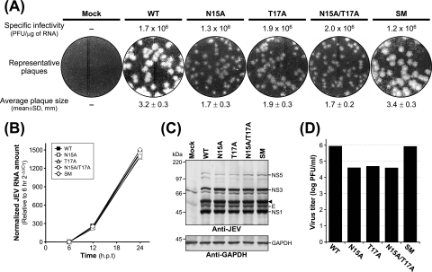 FIG. 2.