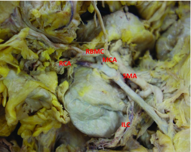 Fig. 2