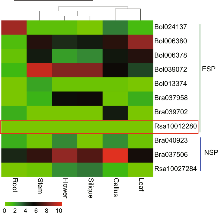 Figure 5