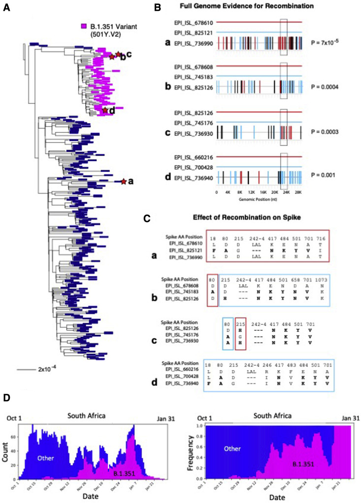 Figure 4