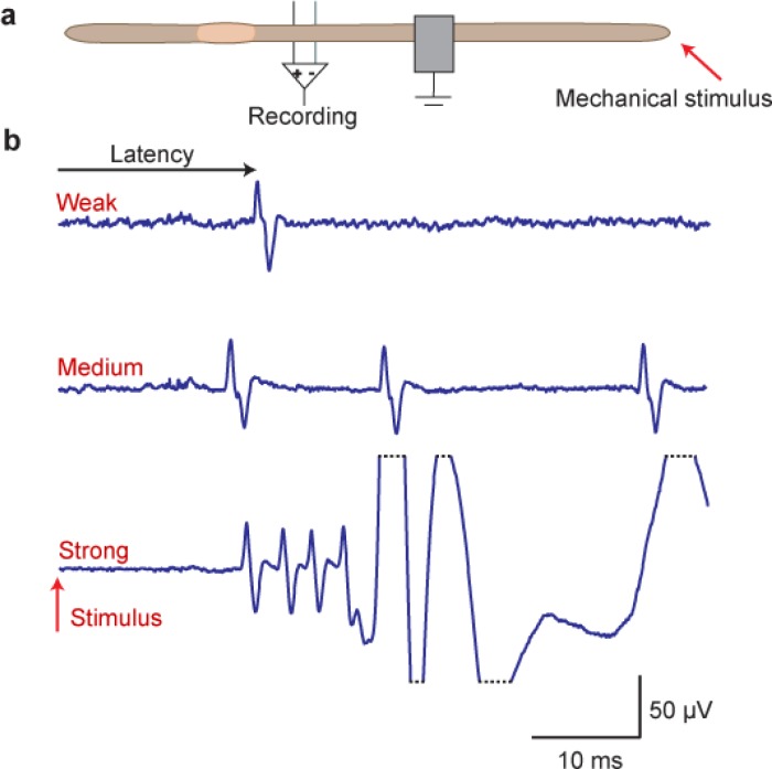 Figure 10