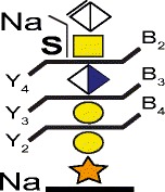 Graphical Abstract