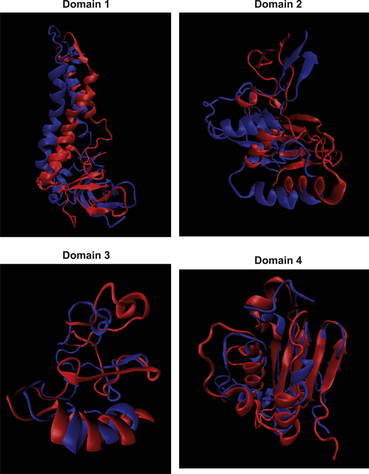 Supplementary Fig. S2A