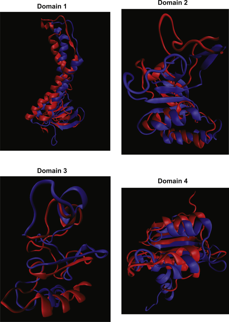 Supplementary Fig. S2B