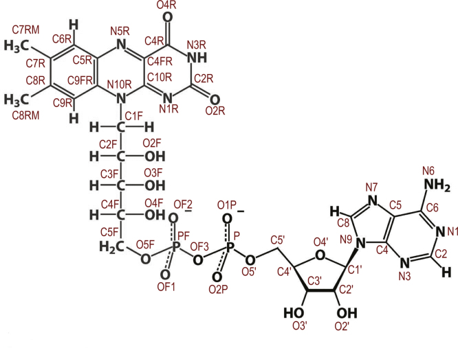 Supplementary Fig. S4