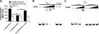 FIG 9