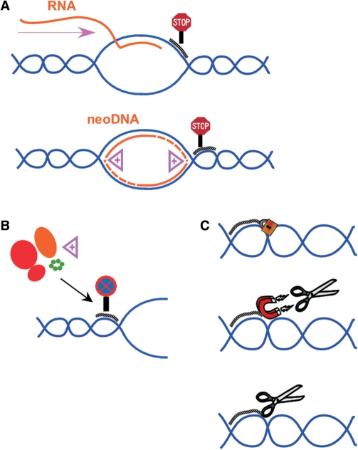 Figure 5.