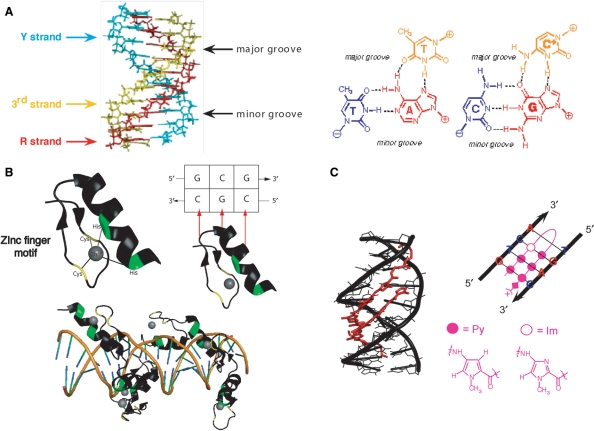 Figure 2.