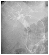 Figure 26