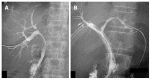 Figure 25
