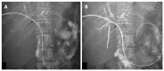 Figure 27