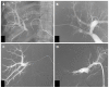 Figure 28