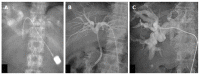 Figure 24