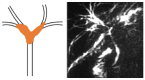 Figure 23