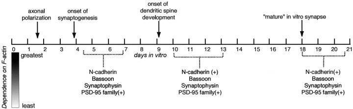 Fig. 9.