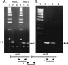 FIG. 2.