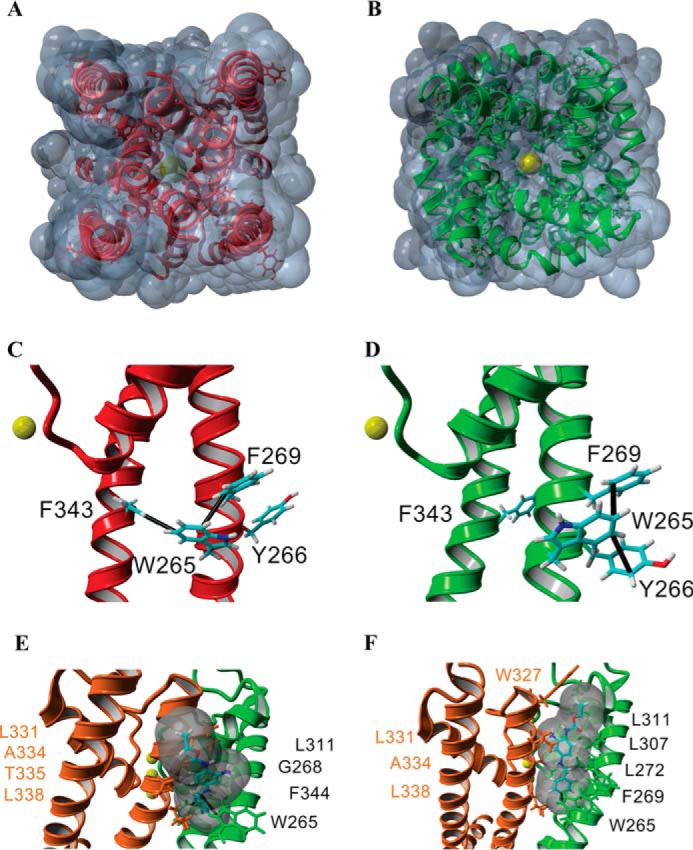 FIGURE 5.