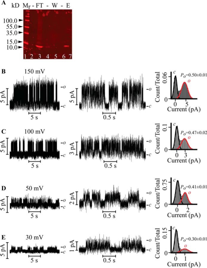 FIGURE 1.