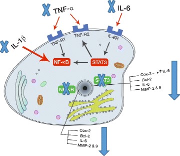 Fig. 8